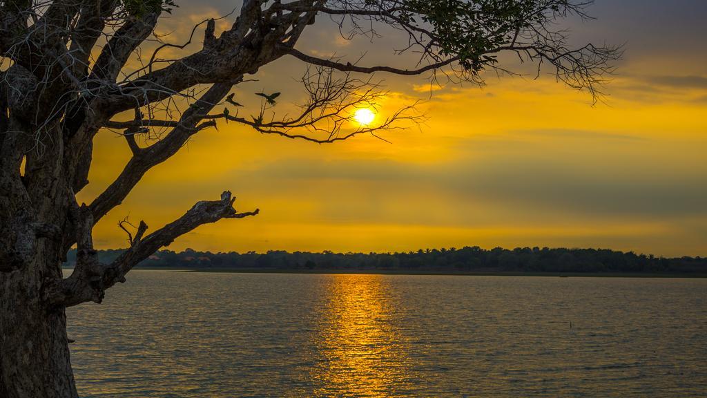 Serenity Lake Resort Yala Тиссамахарама Экстерьер фото